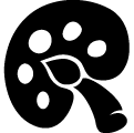 일러스트